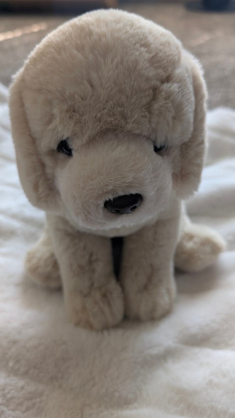 Hugs & Cuddles Rescue Center Cream Puppy Plush Stuffed Animal EUC